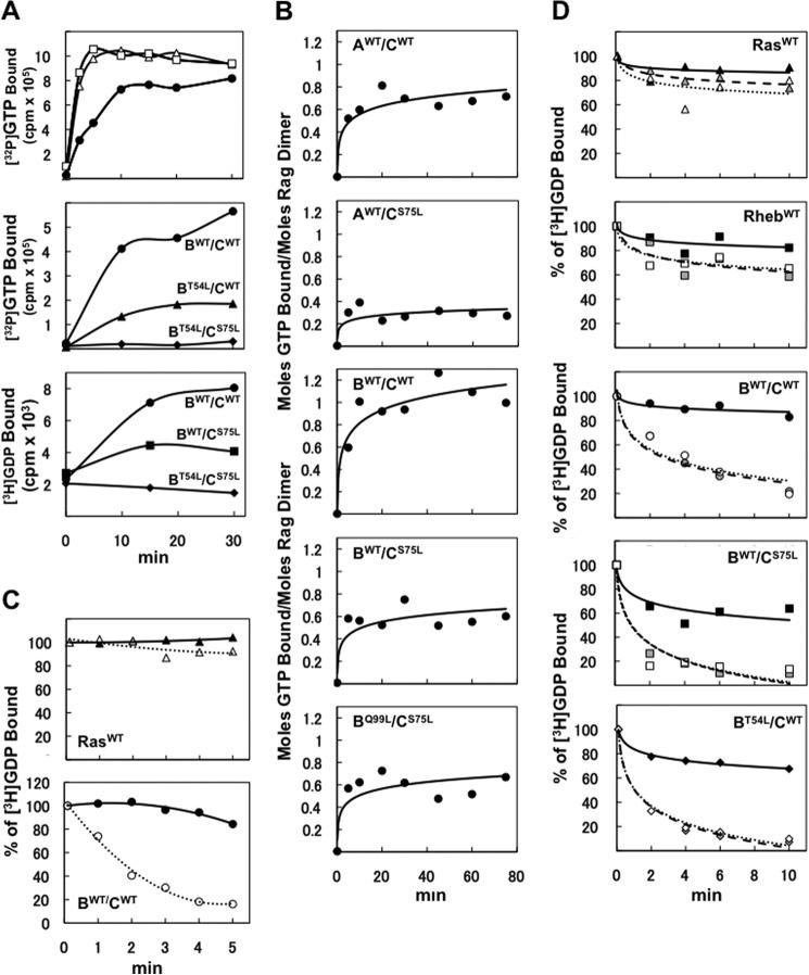 https://cdn.ncbi.nlm.nih.gov/pmc/blobs/3217/3908400/bba872460f99/zbc0081474150002.jpg