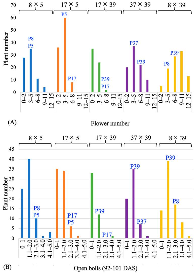 https://cdn.ncbi.nlm.nih.gov/pmc/blobs/3218/10671241/006a17342323/genes-14-02081-g002.jpg