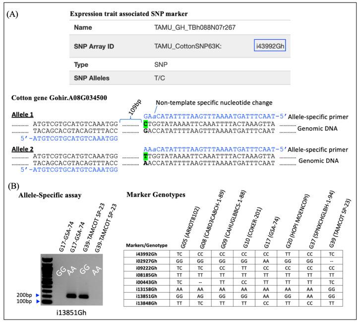 https://cdn.ncbi.nlm.nih.gov/pmc/blobs/3218/10671241/466d7f0296c2/genes-14-02081-g006.jpg