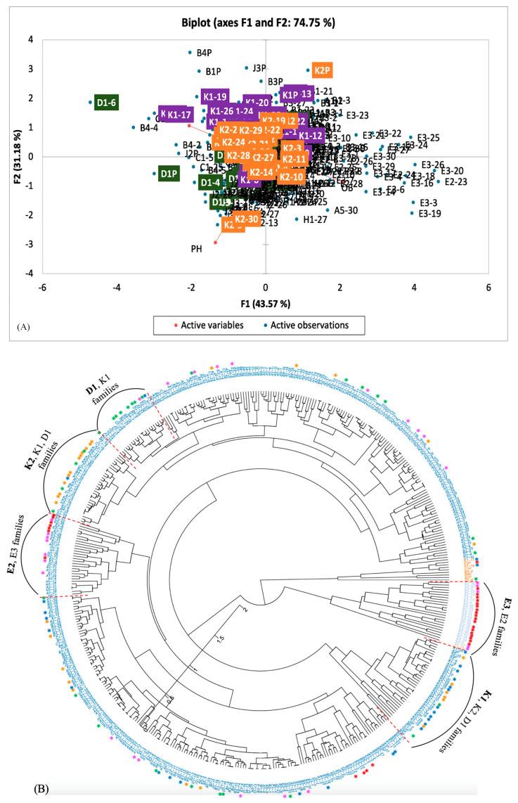 https://cdn.ncbi.nlm.nih.gov/pmc/blobs/3218/10671241/c10c1373101b/genes-14-02081-g005.jpg