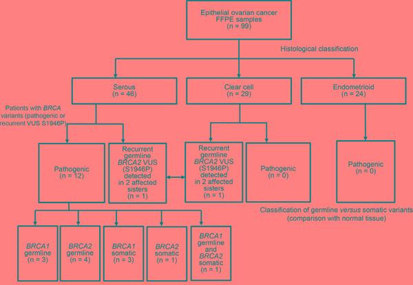 https://cdn.ncbi.nlm.nih.gov/pmc/blobs/3218/5356755/103823d302b6/oncotarget-07-85529-g001.jpg