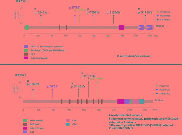 https://cdn.ncbi.nlm.nih.gov/pmc/blobs/3218/5356755/1bd741ab1a38/oncotarget-07-85529-g002.jpg