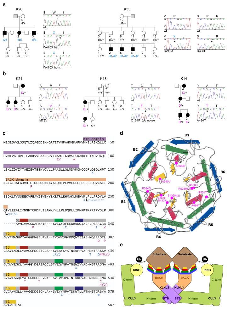 https://cdn.ncbi.nlm.nih.gov/pmc/blobs/3219/3278668/2657f35d7f86/nihms345981f1.jpg