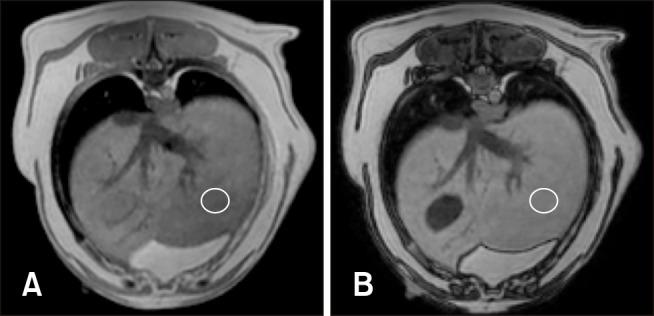 https://cdn.ncbi.nlm.nih.gov/pmc/blobs/3219/6070598/06b72ebcba22/jvs-19-570-g001.jpg