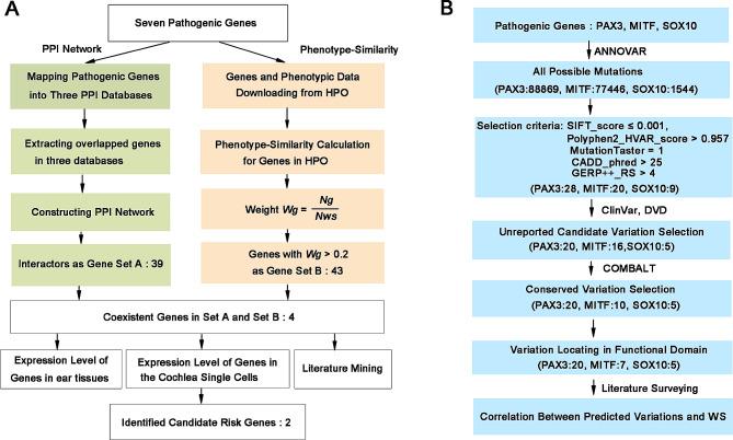 https://cdn.ncbi.nlm.nih.gov/pmc/blobs/321a/11155130/ea7517256472/13023_2024_3220_Fig6_HTML.jpg