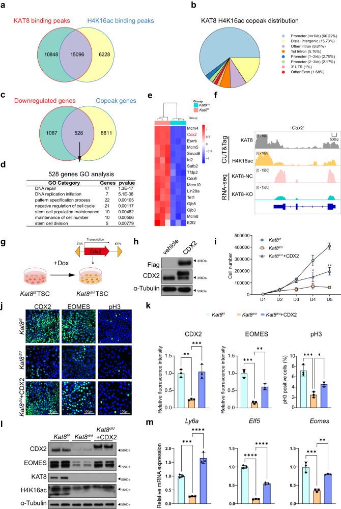 https://cdn.ncbi.nlm.nih.gov/pmc/blobs/321a/11222414/93ab97b6f205/41467_2024_49930_Fig4_HTML.jpg