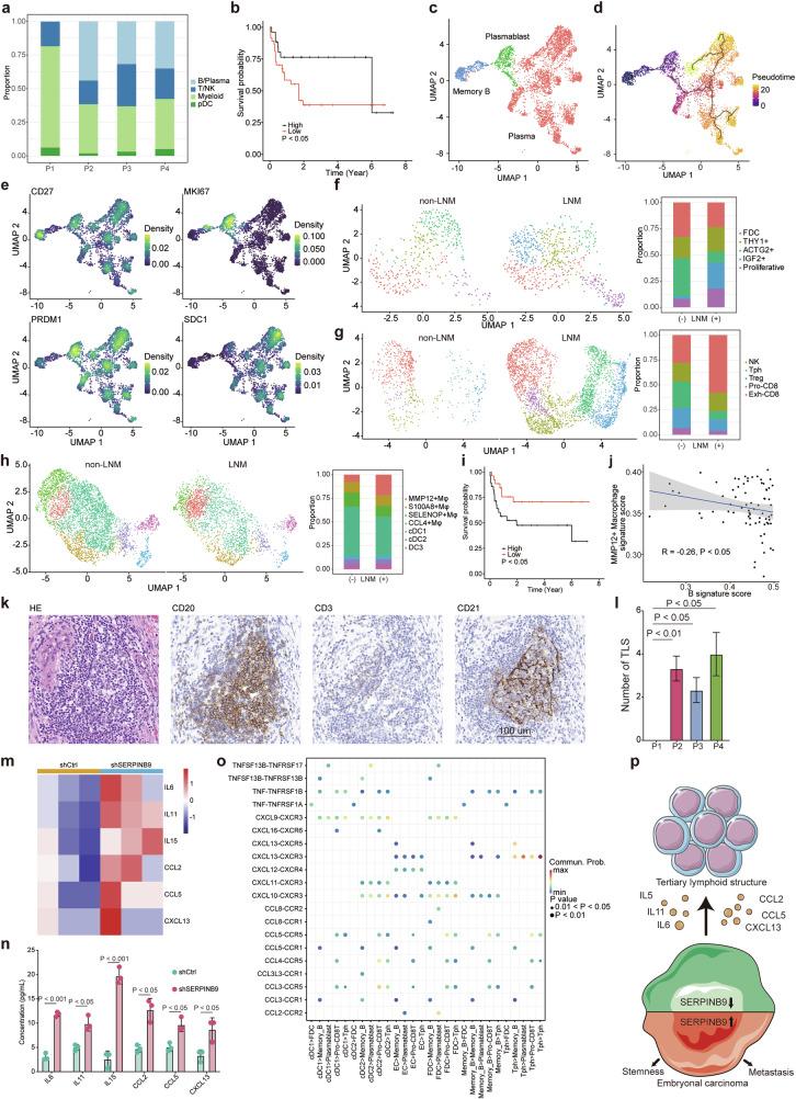 https://cdn.ncbi.nlm.nih.gov/pmc/blobs/321c/11555415/b56ae404624b/41419_2024_7220_Fig5_HTML.jpg