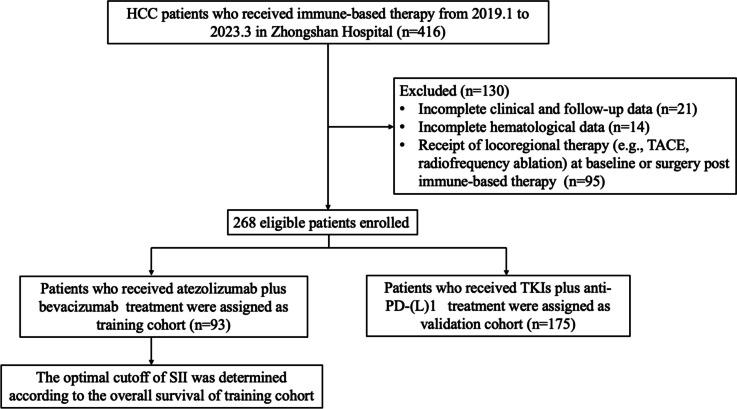 https://cdn.ncbi.nlm.nih.gov/pmc/blobs/321c/11730499/3e43da33d7d7/40364_2024_722_Fig1_HTML.jpg