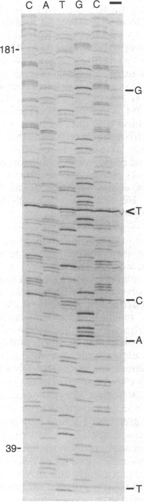 https://cdn.ncbi.nlm.nih.gov/pmc/blobs/321c/391288/4adeae2ffb90/pnas00360-0242-a.jpg