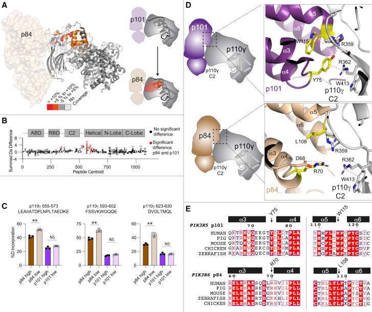 https://cdn.ncbi.nlm.nih.gov/pmc/blobs/321d/10068899/a0ef11242b5f/gr2.jpg