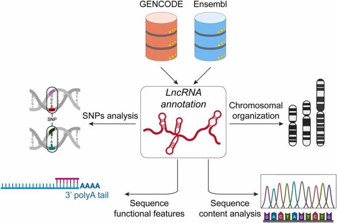 https://cdn.ncbi.nlm.nih.gov/pmc/blobs/321f/11847481/315b6d356ad2/ga1.jpg