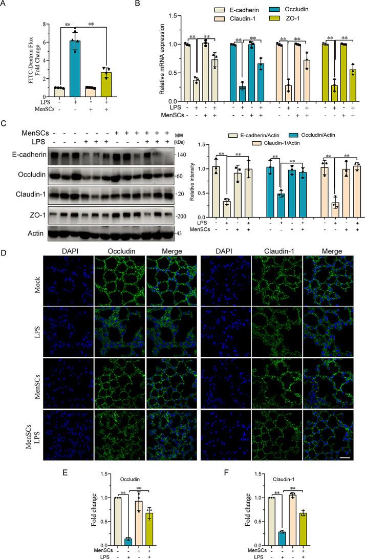 https://cdn.ncbi.nlm.nih.gov/pmc/blobs/321f/12090679/c22e8cea5295/13287_2025_4388_Fig2_HTML.jpg