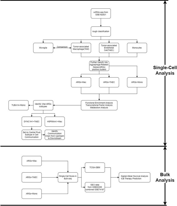 https://cdn.ncbi.nlm.nih.gov/pmc/blobs/3223/12084465/691cc6cdacaf/12672_2025_2431_Fig1_HTML.jpg