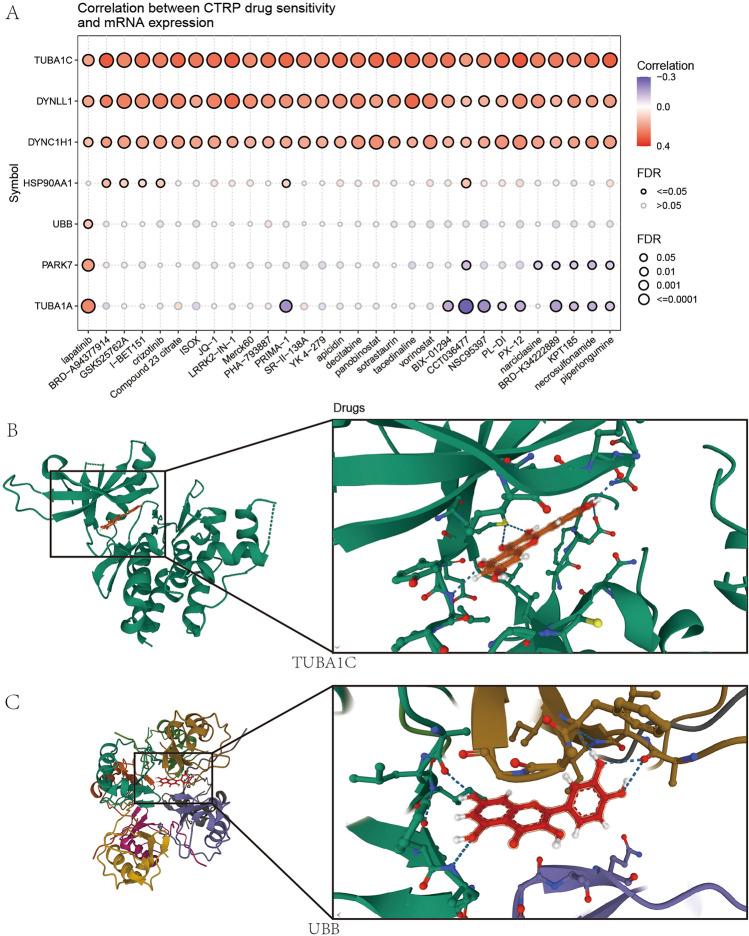 https://cdn.ncbi.nlm.nih.gov/pmc/blobs/3223/12084465/8aab65c51ed4/12672_2025_2431_Fig12_HTML.jpg