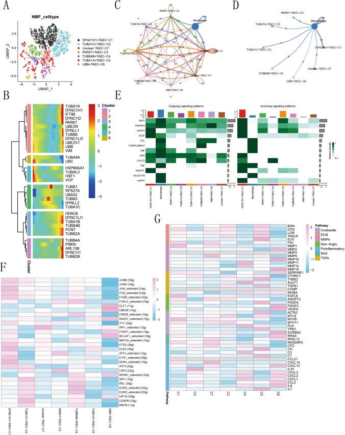 https://cdn.ncbi.nlm.nih.gov/pmc/blobs/3223/12084465/ac4f6b603f12/12672_2025_2431_Fig5_HTML.jpg