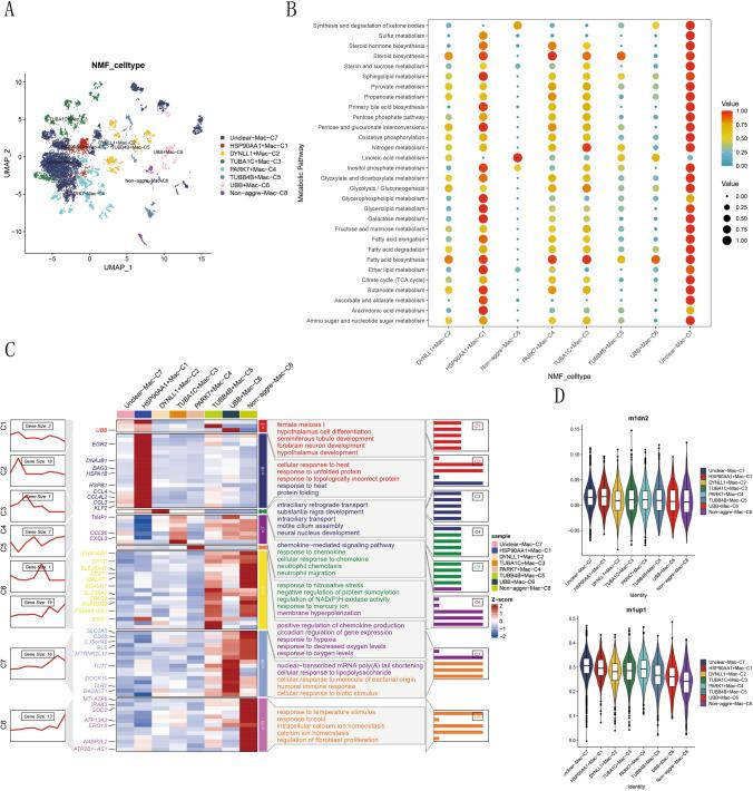 https://cdn.ncbi.nlm.nih.gov/pmc/blobs/3223/12084465/c23389bb3c42/12672_2025_2431_Fig4_HTML.jpg