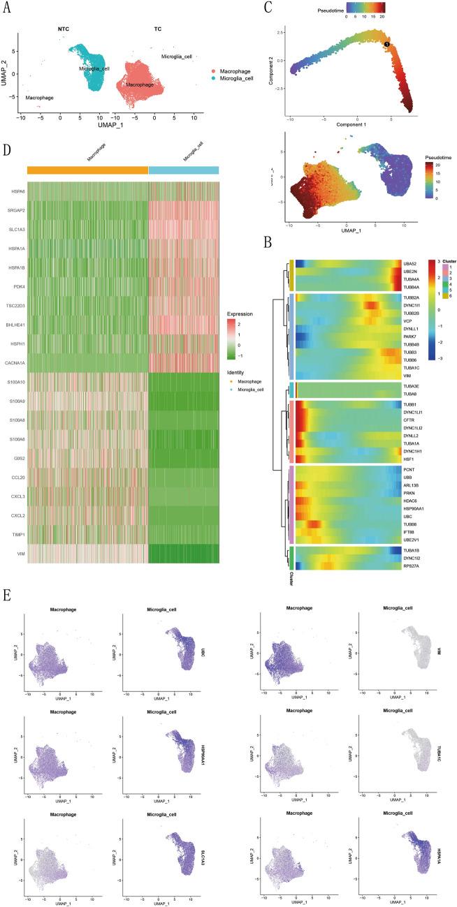 https://cdn.ncbi.nlm.nih.gov/pmc/blobs/3223/12084465/d2285eafacae/12672_2025_2431_Fig3_HTML.jpg