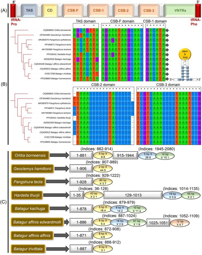 https://cdn.ncbi.nlm.nih.gov/pmc/blobs/3223/12179677/5dae1525ca0c/ECE3-15-e71530-g007.jpg
