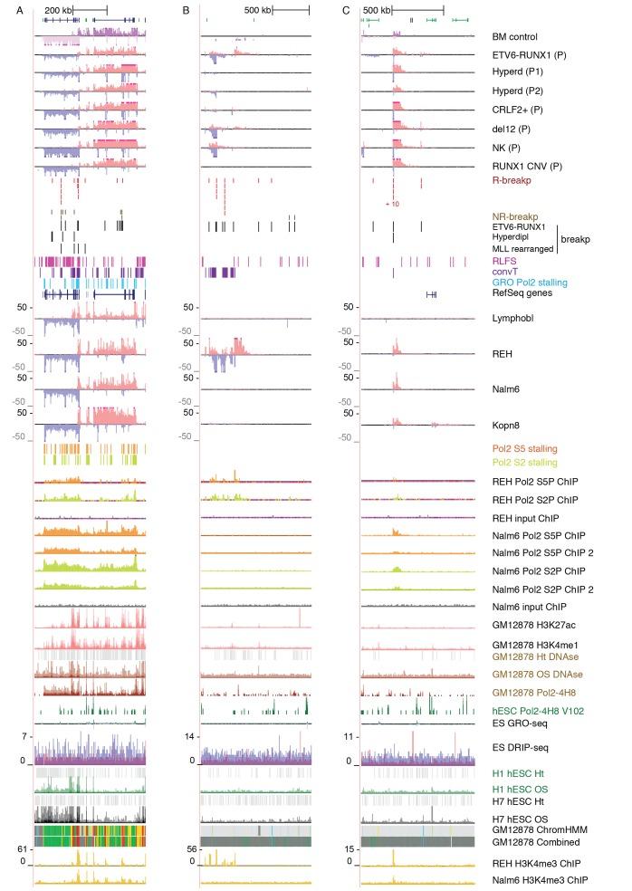 https://cdn.ncbi.nlm.nih.gov/pmc/blobs/3224/4951197/f81f8b2eb4c9/elife-13087-fig1-figsupp4.jpg