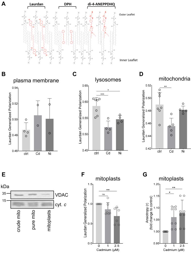 https://cdn.ncbi.nlm.nih.gov/pmc/blobs/3225/11905837/2bf55bf78e40/gr1.jpg