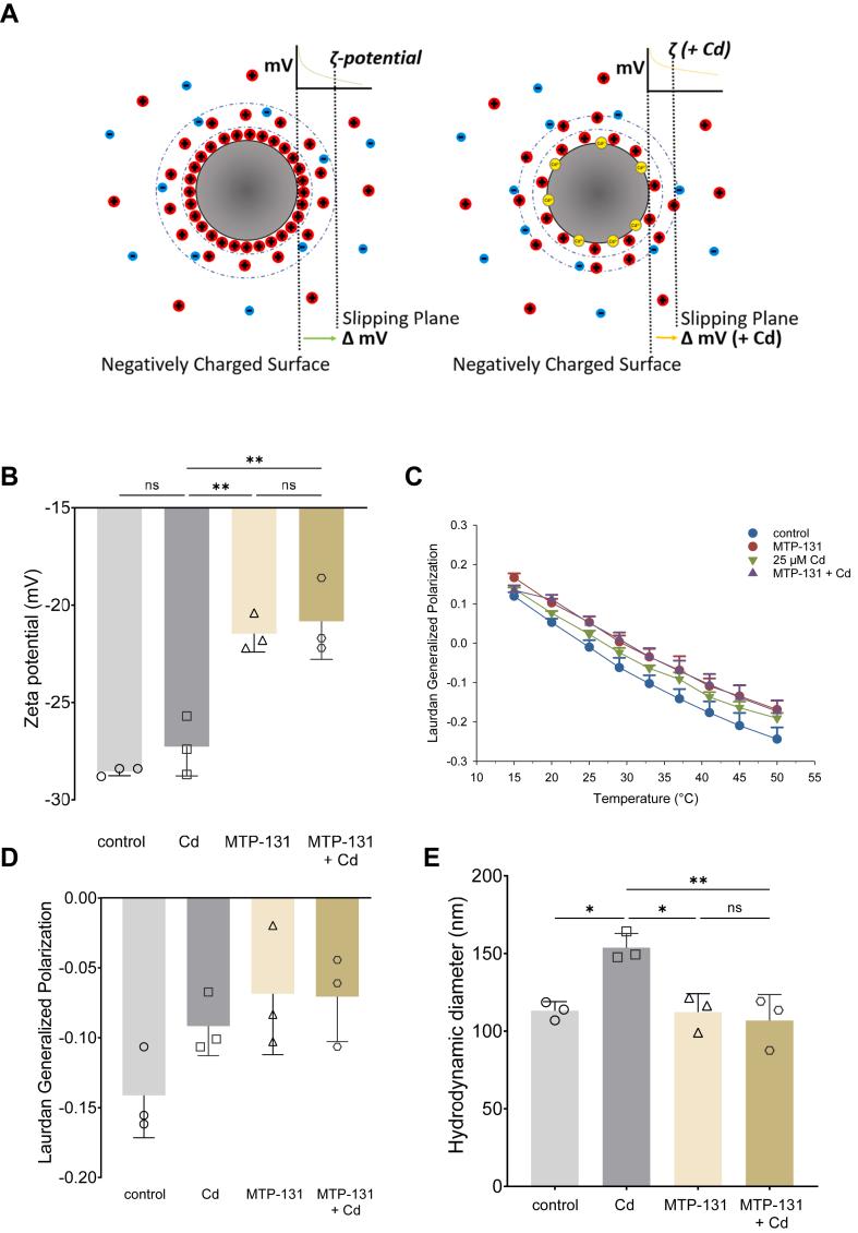 https://cdn.ncbi.nlm.nih.gov/pmc/blobs/3225/11905837/83e1040cb766/gr6.jpg