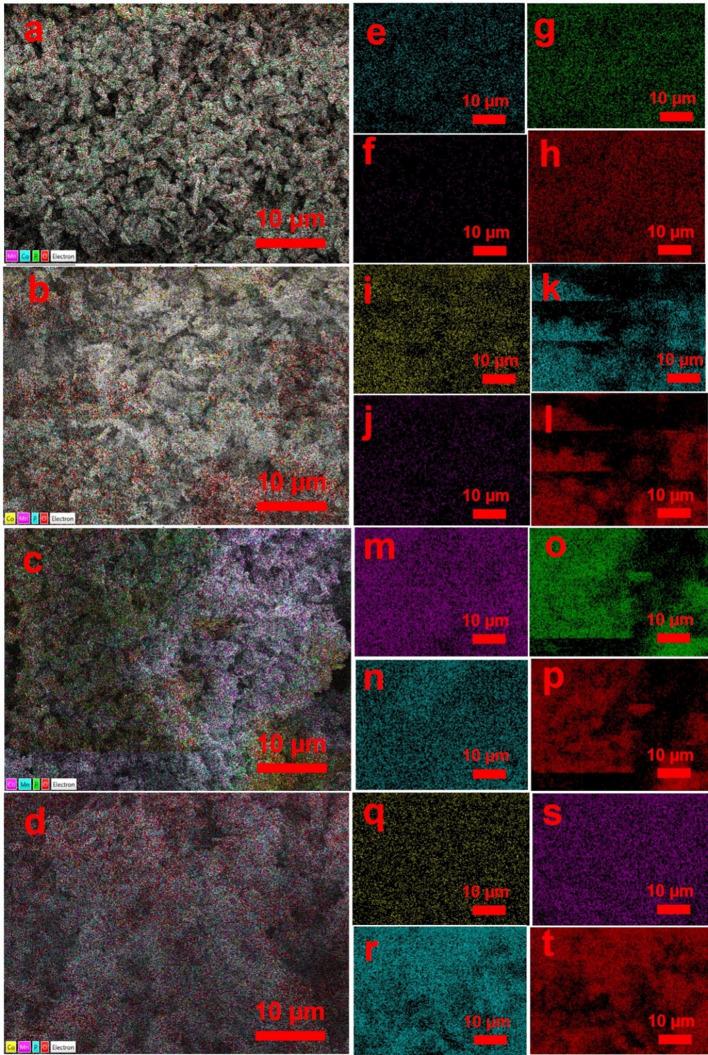 https://cdn.ncbi.nlm.nih.gov/pmc/blobs/3228/11532541/6c7cce01c645/41598_2024_77278_Fig6_HTML.jpg