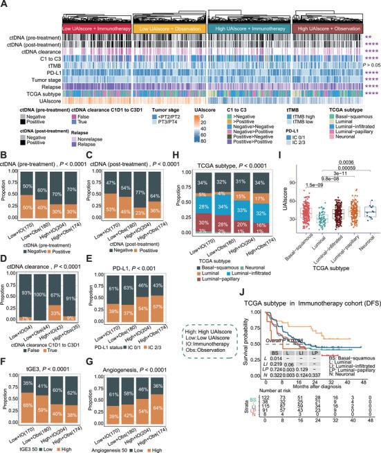 https://cdn.ncbi.nlm.nih.gov/pmc/blobs/3228/12377507/250e1cb30648/MCO2-6-e70324-g007.jpg