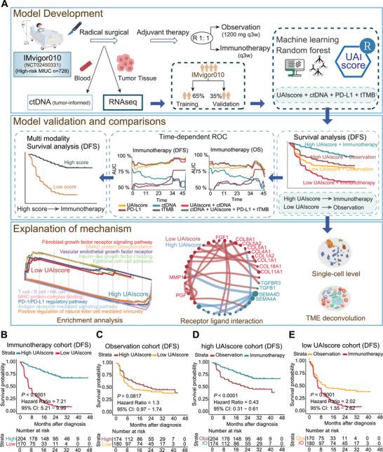 https://cdn.ncbi.nlm.nih.gov/pmc/blobs/3228/12377507/52de631b11c9/MCO2-6-e70324-g003.jpg