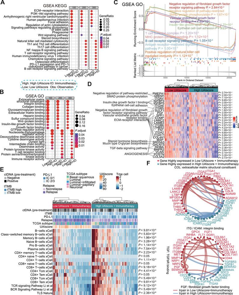https://cdn.ncbi.nlm.nih.gov/pmc/blobs/3228/12377507/fc97116bc50f/MCO2-6-e70324-g001.jpg