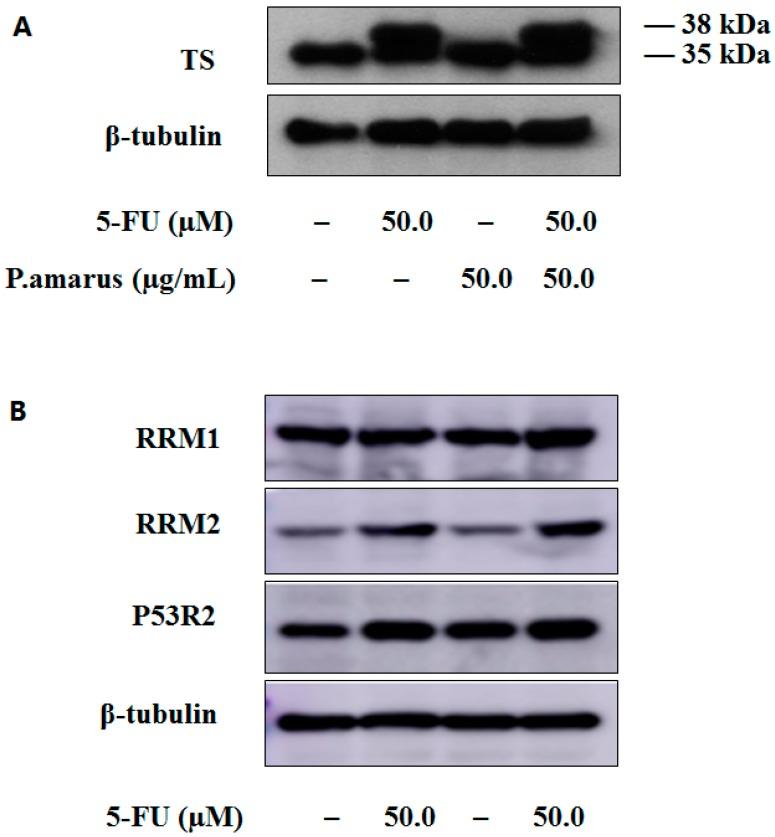 https://cdn.ncbi.nlm.nih.gov/pmc/blobs/3228/6273671/e0097f7d2b26/molecules-21-01254-g005.jpg