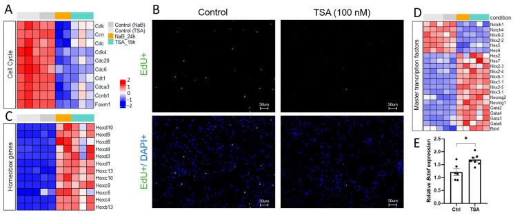 https://cdn.ncbi.nlm.nih.gov/pmc/blobs/322a/12191383/ba31956618b7/cells-14-00905-g002.jpg