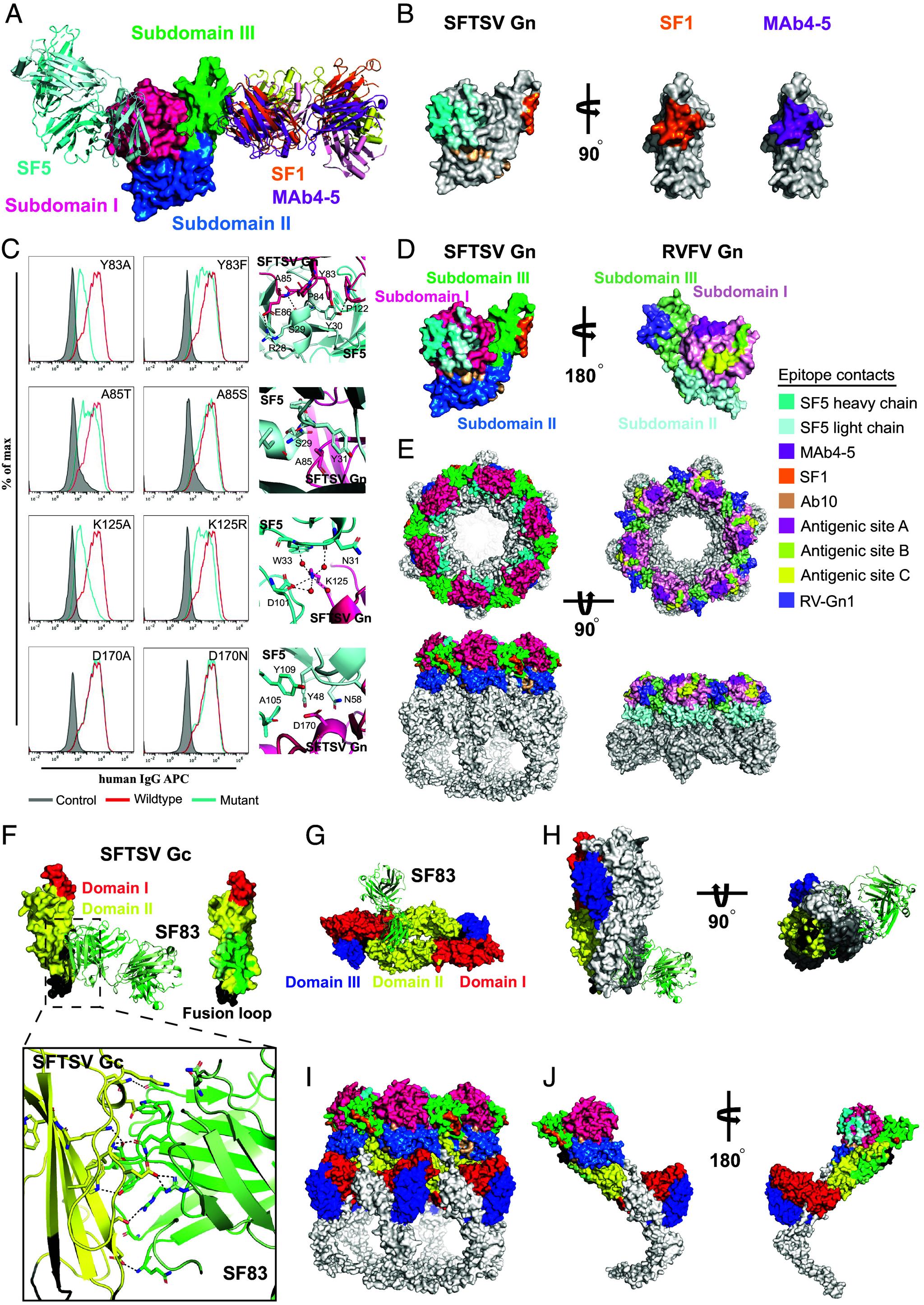 https://cdn.ncbi.nlm.nih.gov/pmc/blobs/322b/11181109/b6614e6b2aba/pnas.2400163121fig02.jpg