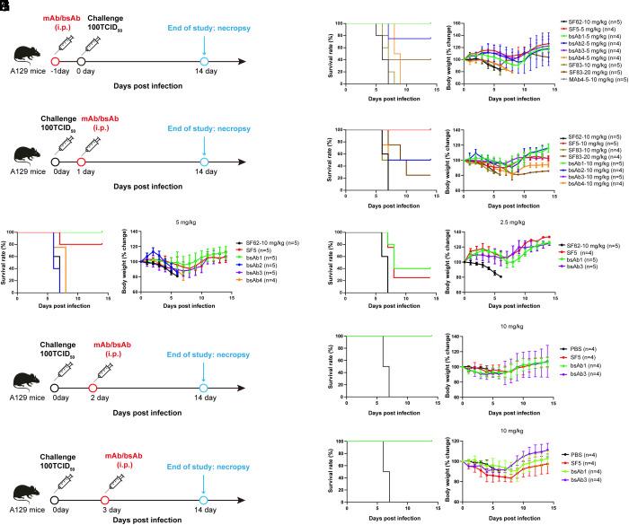 https://cdn.ncbi.nlm.nih.gov/pmc/blobs/322b/11181109/e9c2e7bc2b05/pnas.2400163121fig05.jpg