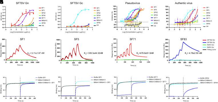 https://cdn.ncbi.nlm.nih.gov/pmc/blobs/322b/11181109/ecb38aad18ca/pnas.2400163121fig01.jpg