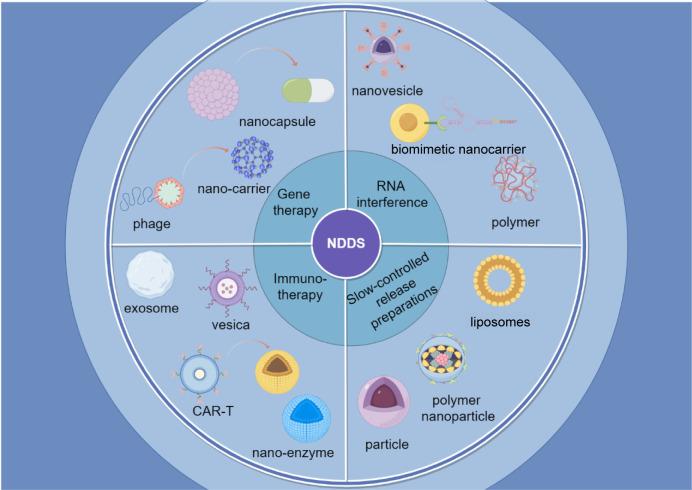 https://cdn.ncbi.nlm.nih.gov/pmc/blobs/322f/11683012/b62de4aea834/fonc-14-1507958-g002.jpg