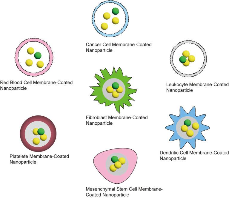 https://cdn.ncbi.nlm.nih.gov/pmc/blobs/322f/11683012/df3080c17675/fonc-14-1507958-g007.jpg