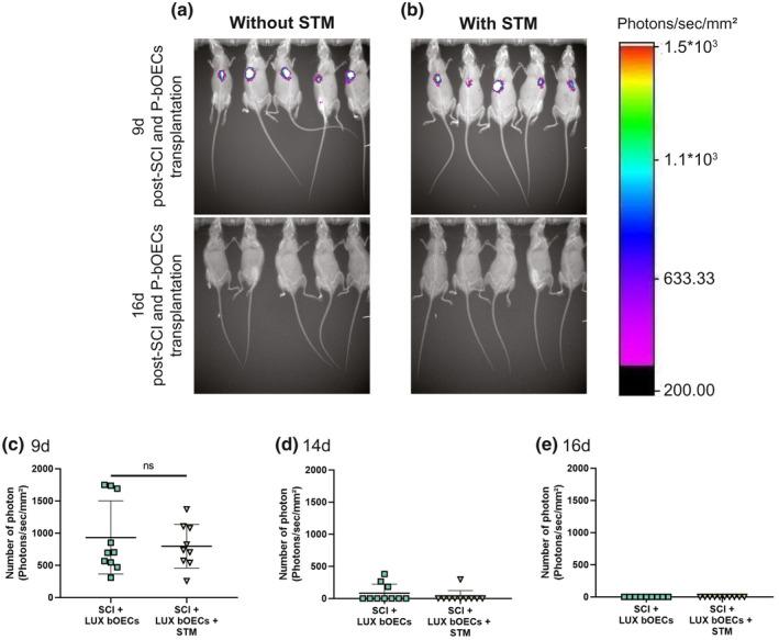 https://cdn.ncbi.nlm.nih.gov/pmc/blobs/3230/8359979/a0192ef413ff/JNR-99-1835-g006.jpg