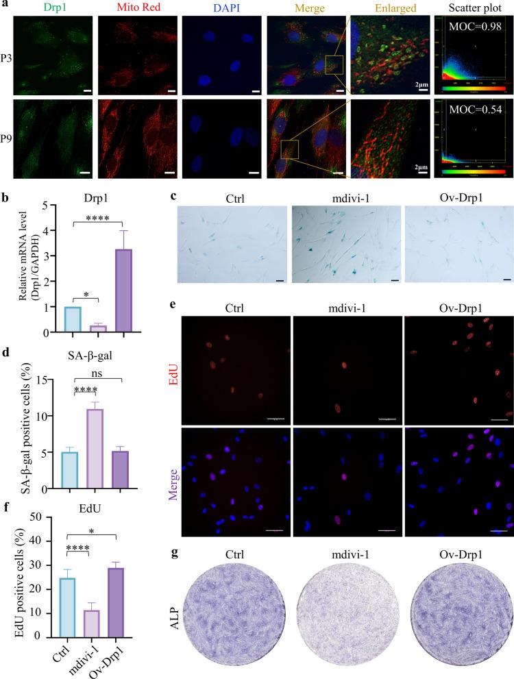 https://cdn.ncbi.nlm.nih.gov/pmc/blobs/3231/11378612/1038ad370450/12951_2024_2818_Fig3_HTML.jpg