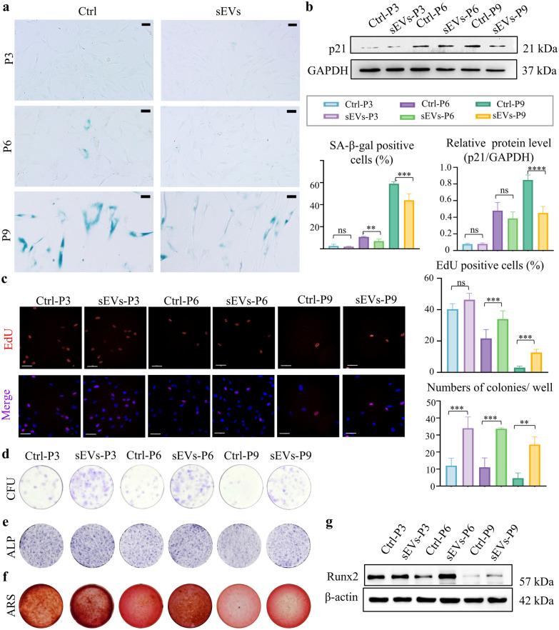 https://cdn.ncbi.nlm.nih.gov/pmc/blobs/3231/11378612/7d3e4af321d8/12951_2024_2818_Fig5_HTML.jpg
