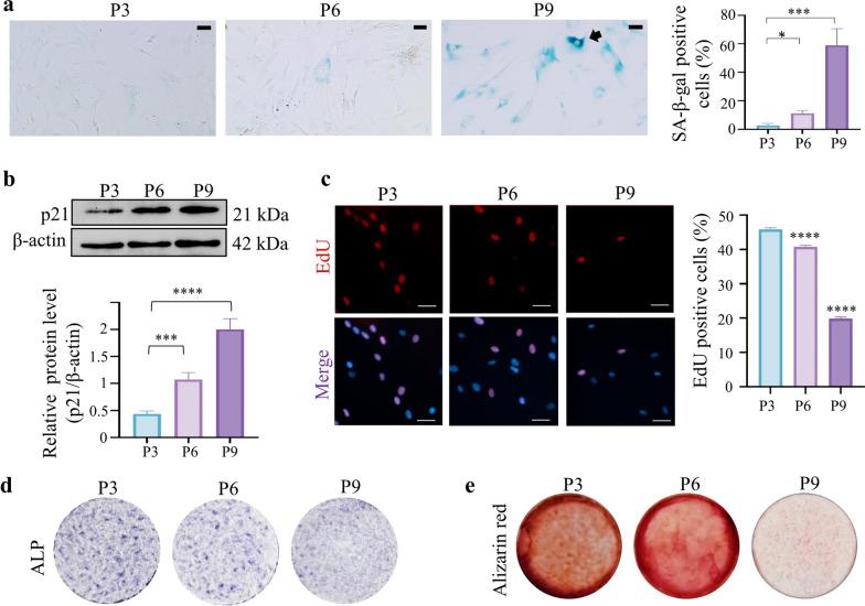 https://cdn.ncbi.nlm.nih.gov/pmc/blobs/3231/11378612/b00b498d668e/12951_2024_2818_Fig1_HTML.jpg