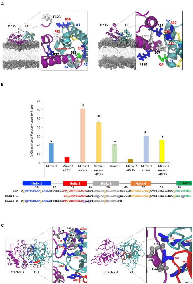 https://cdn.ncbi.nlm.nih.gov/pmc/blobs/3232/9108871/ce7d03fd27e9/fpls-13-869178-g0004.jpg