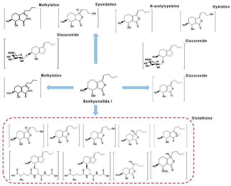 https://cdn.ncbi.nlm.nih.gov/pmc/blobs/3233/10144034/8c4dad53ccd4/molecules-28-03636-g005.jpg