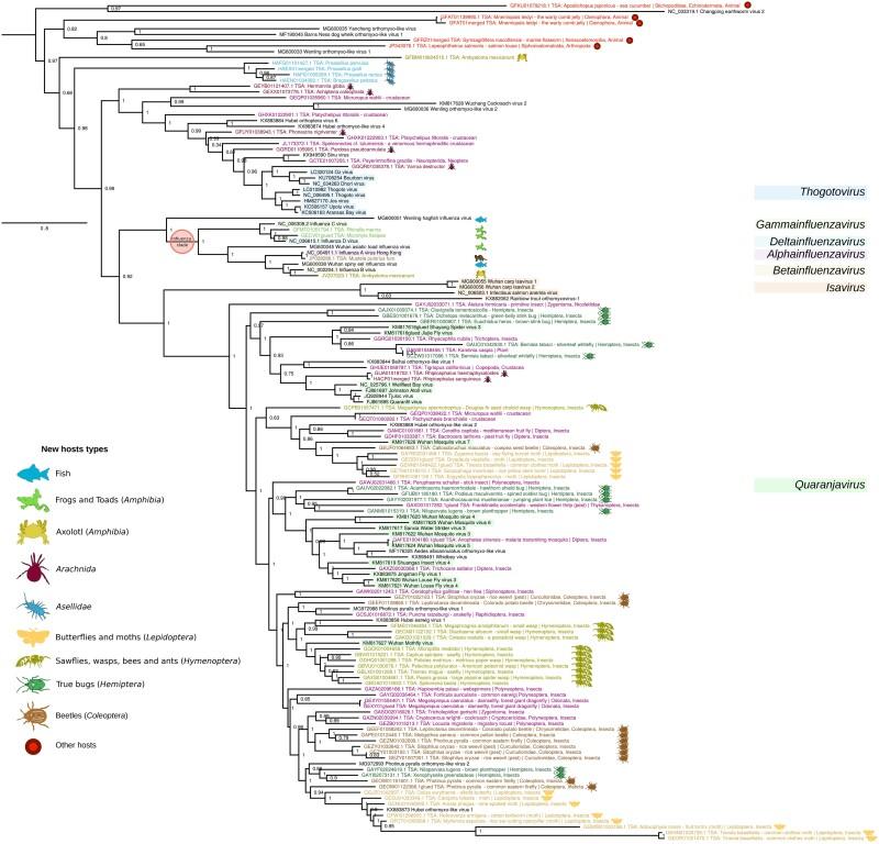 https://cdn.ncbi.nlm.nih.gov/pmc/blobs/3234/10101049/63504ab10f2c/msad060f7.jpg