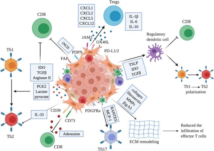 https://cdn.ncbi.nlm.nih.gov/pmc/blobs/3235/8360036/385cd771b514/IMR-302-259-g001.jpg