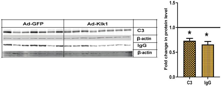 https://cdn.ncbi.nlm.nih.gov/pmc/blobs/3239/11432477/2ded8c9d618a/ijms-25-10080-g007.jpg