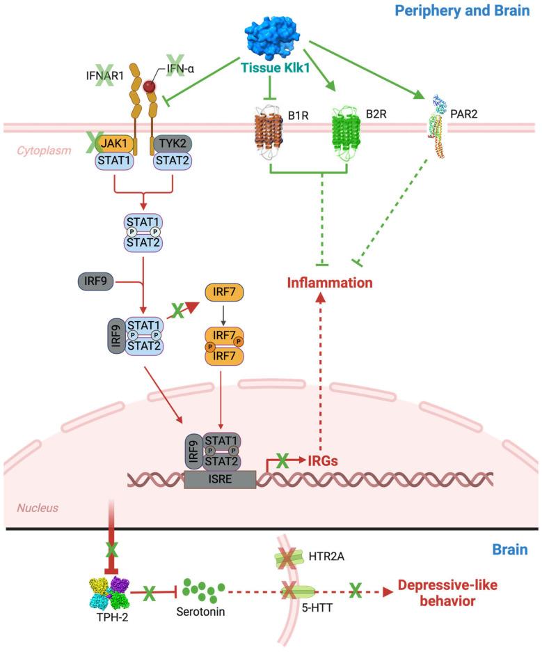 https://cdn.ncbi.nlm.nih.gov/pmc/blobs/3239/11432477/4e4bfa4b0f99/ijms-25-10080-g010.jpg