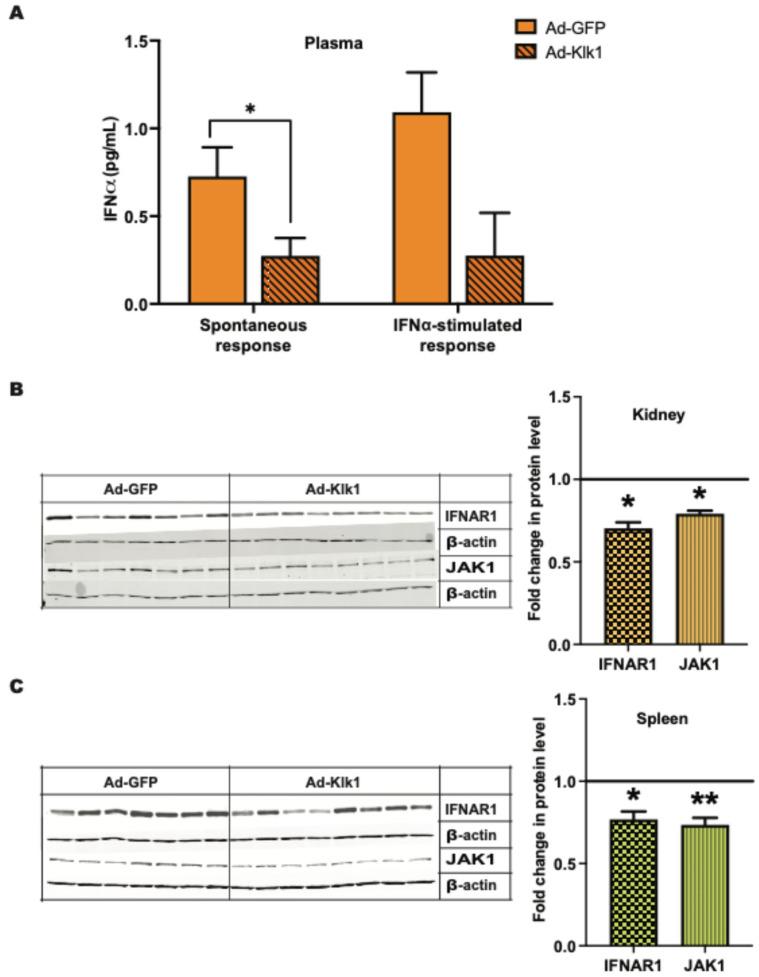 https://cdn.ncbi.nlm.nih.gov/pmc/blobs/3239/11432477/89fca46879db/ijms-25-10080-g004.jpg