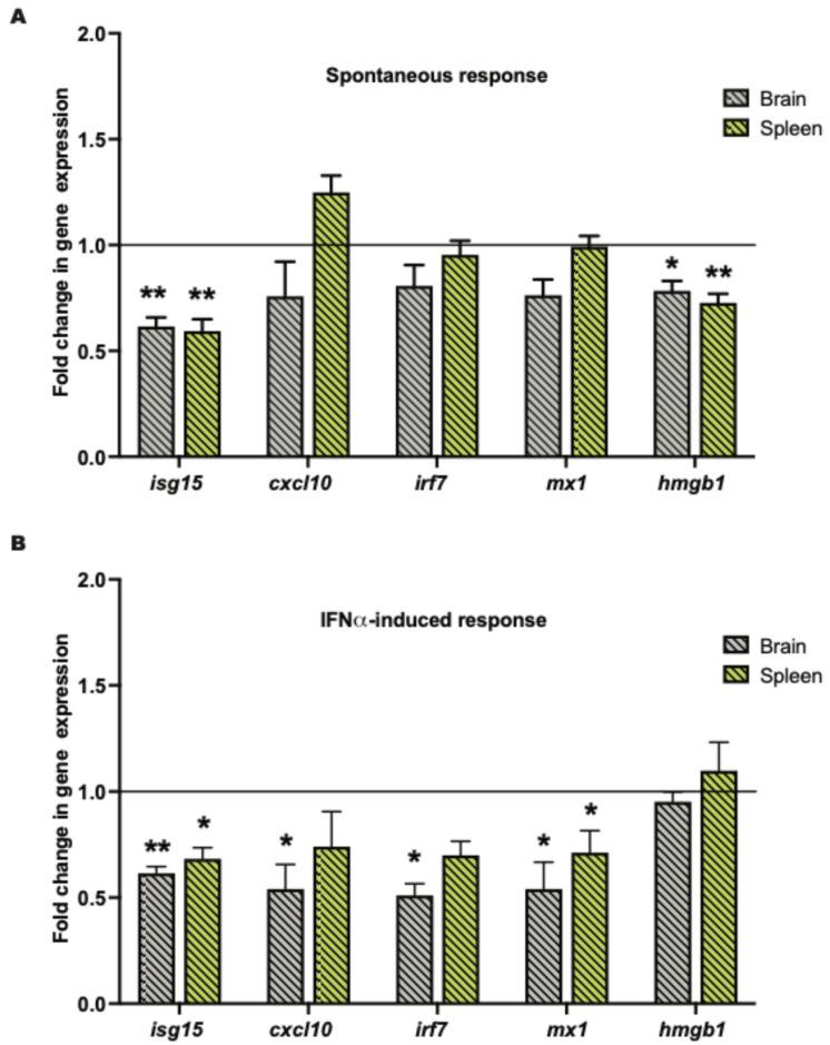 https://cdn.ncbi.nlm.nih.gov/pmc/blobs/3239/11432477/95b719ac24e8/ijms-25-10080-g002.jpg