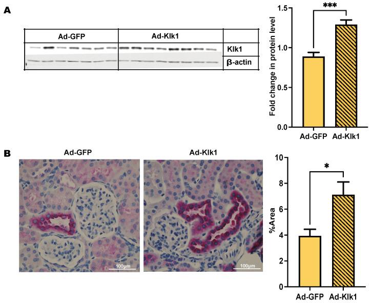 https://cdn.ncbi.nlm.nih.gov/pmc/blobs/3239/11432477/a3c02766f8a7/ijms-25-10080-g001.jpg