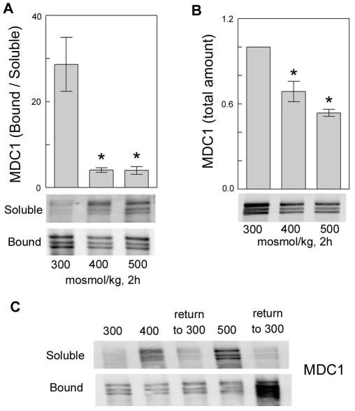 https://cdn.ncbi.nlm.nih.gov/pmc/blobs/3239/2920327/39c6cd40d515/pone.0012108.g003.jpg